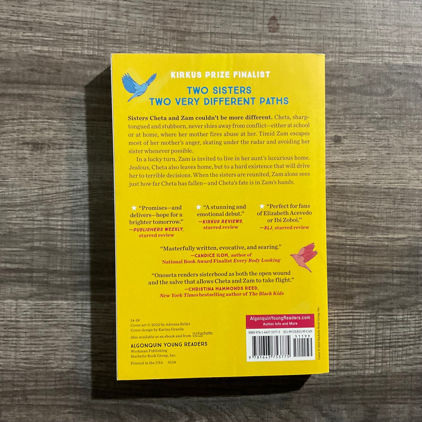 How You Grow Wings by Rimma Onoseta