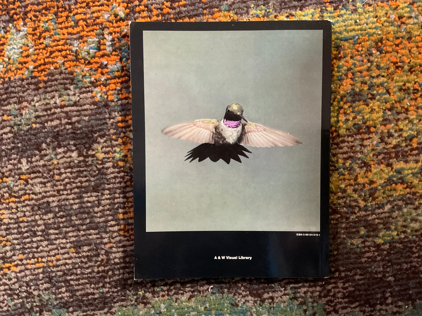 Birds of North America: A Personal Selection by Eliot Porter