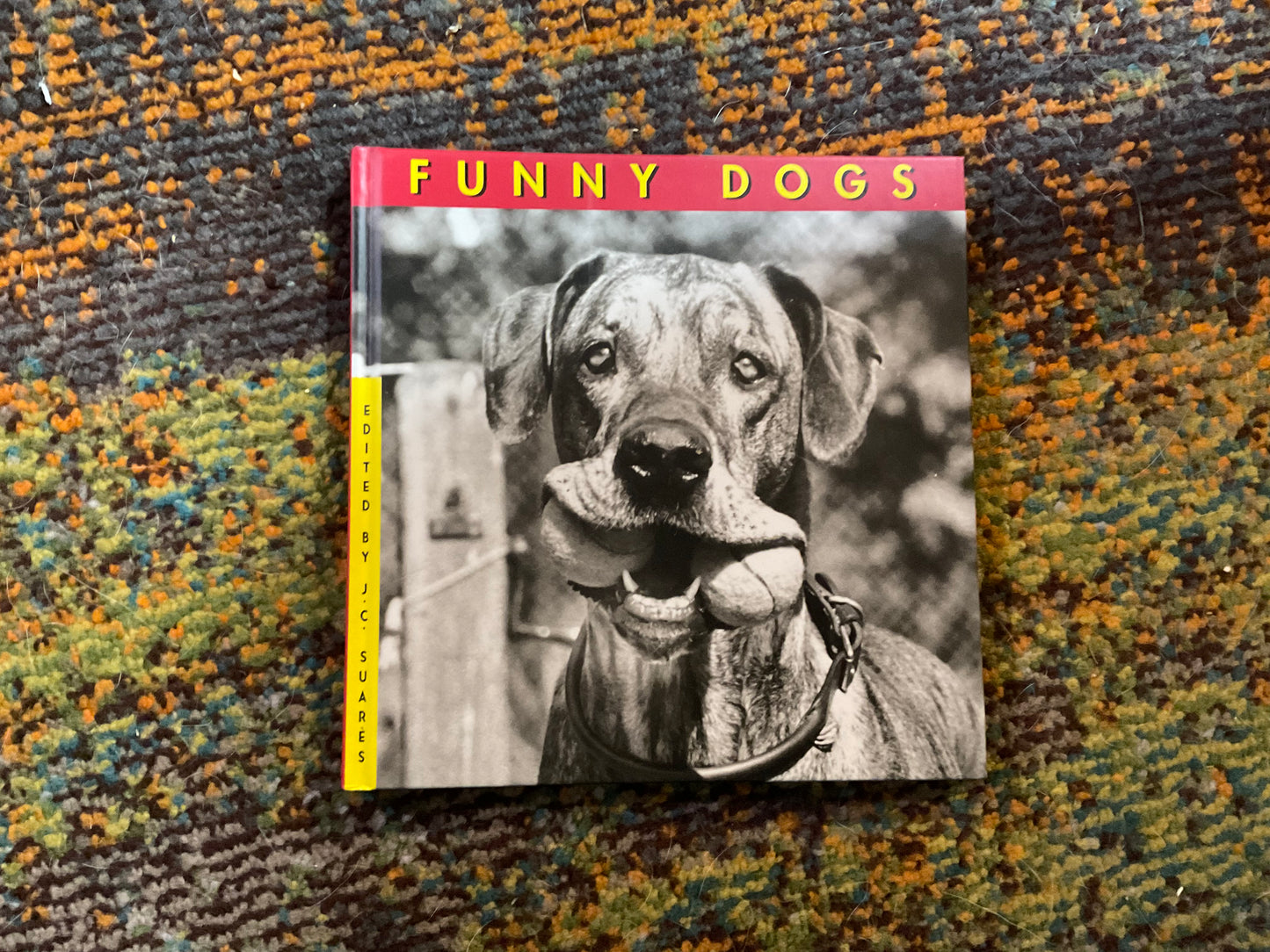 Funny Dogs edited by J. C. Suares