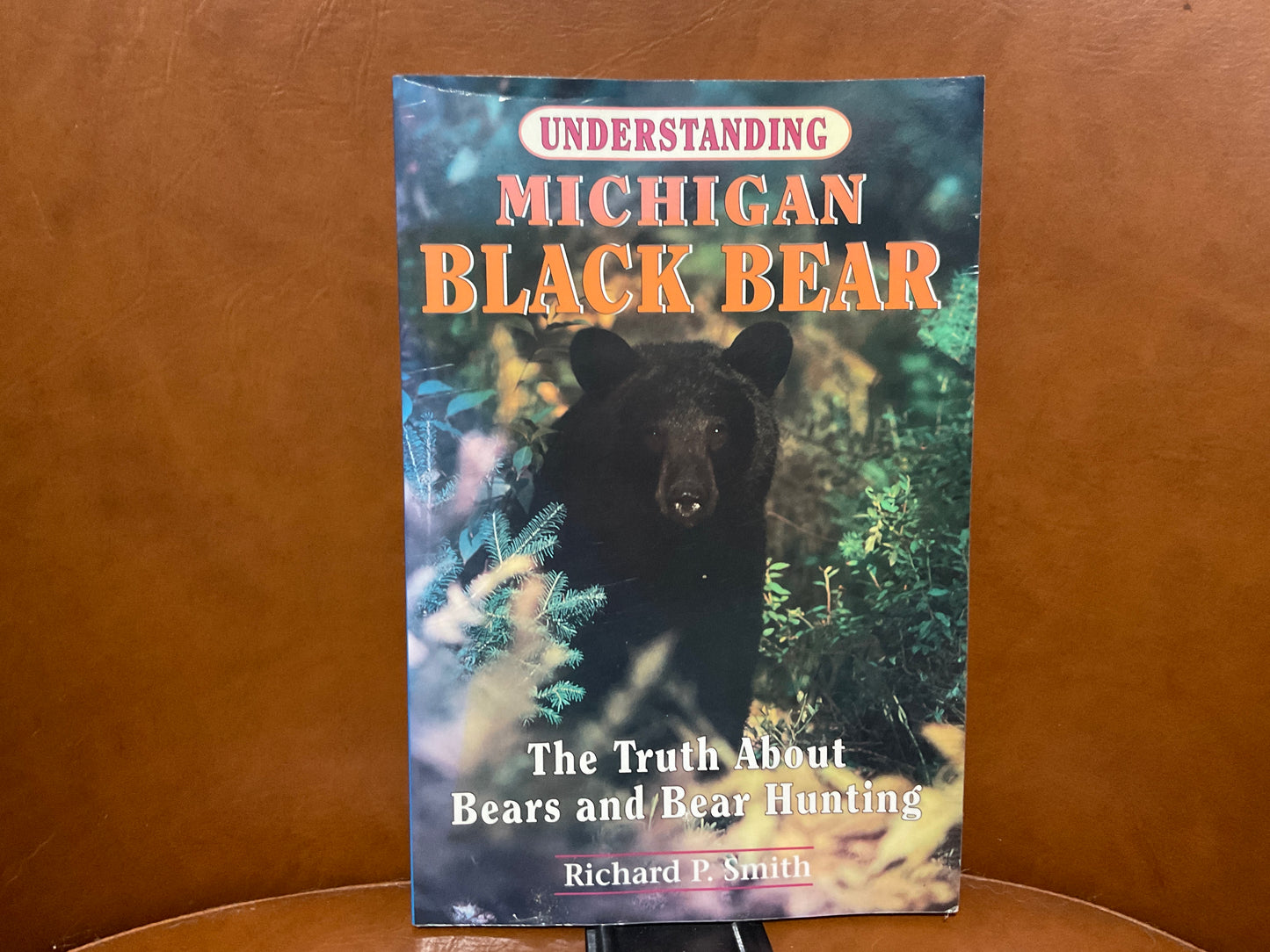 Understanding Michigan Black Bear by Richard P. Smith