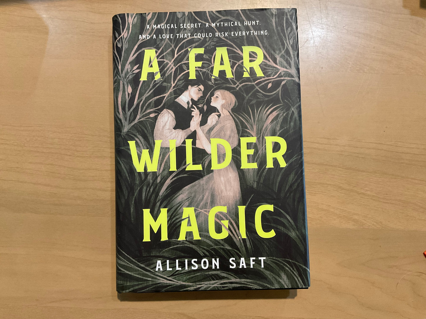 A Far Wilder Magic by Allison Saft