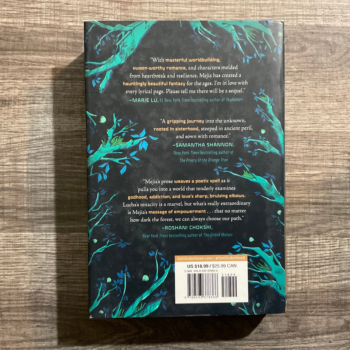 Lucha of the Night Forest by Tehlor Kay Mejia