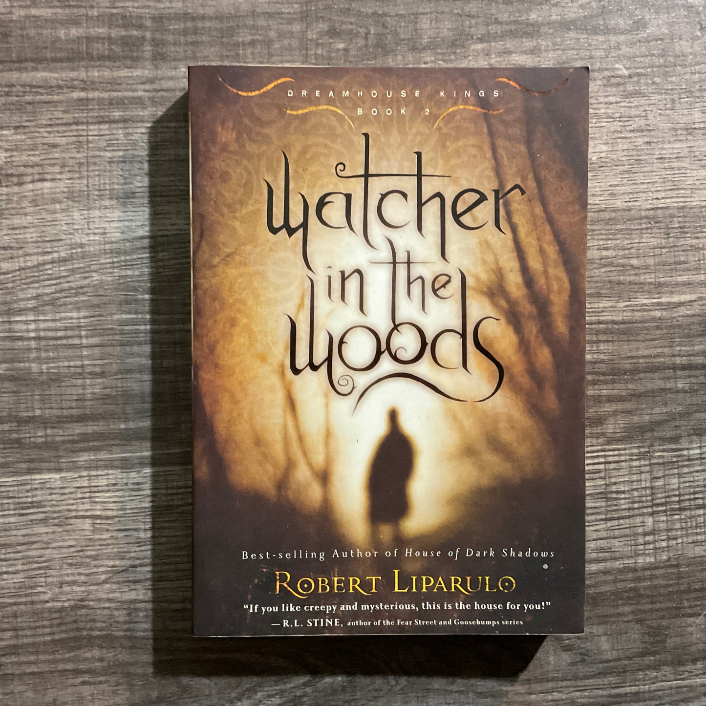 Watcher in the Woods by Robert Liparulo