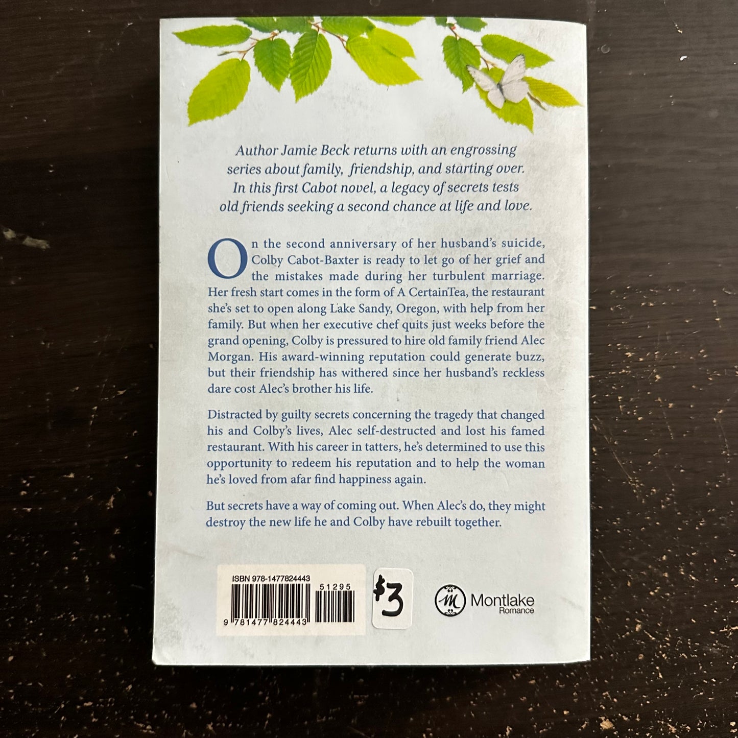 Before I Knew by Jamie Beck