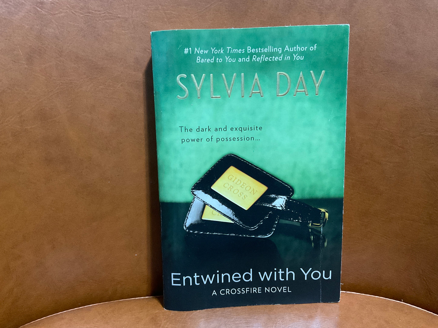 Entwined with You by Sylvia Day