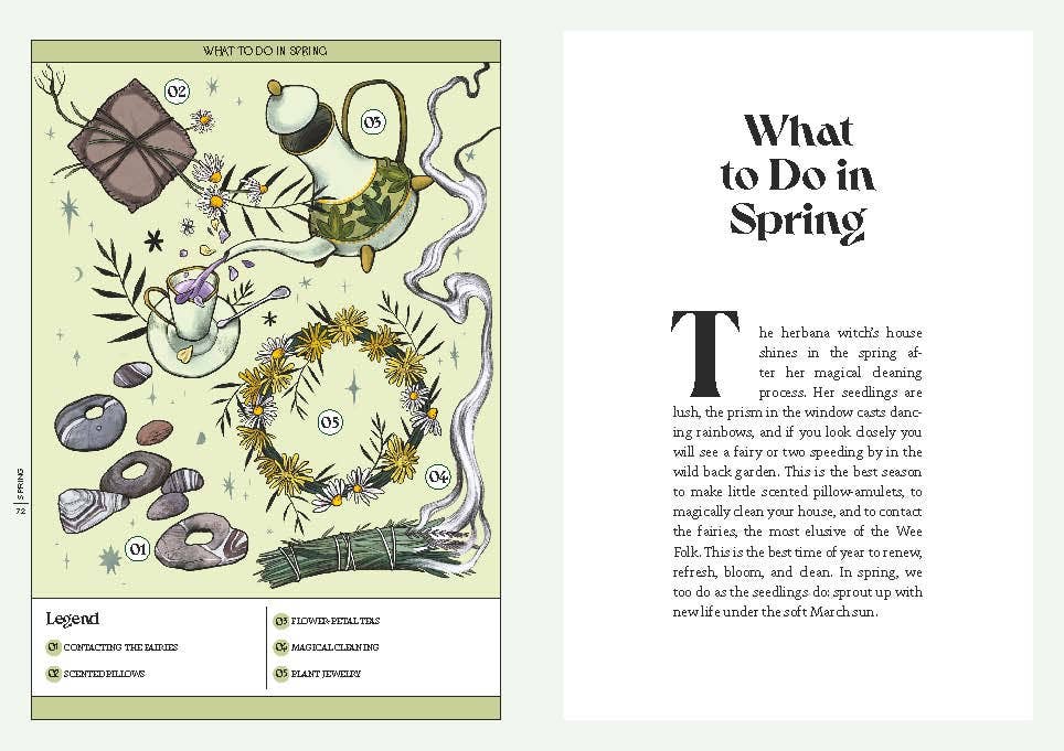Herbana Witch: A Year in the Forest (Wheel of the Year Book)