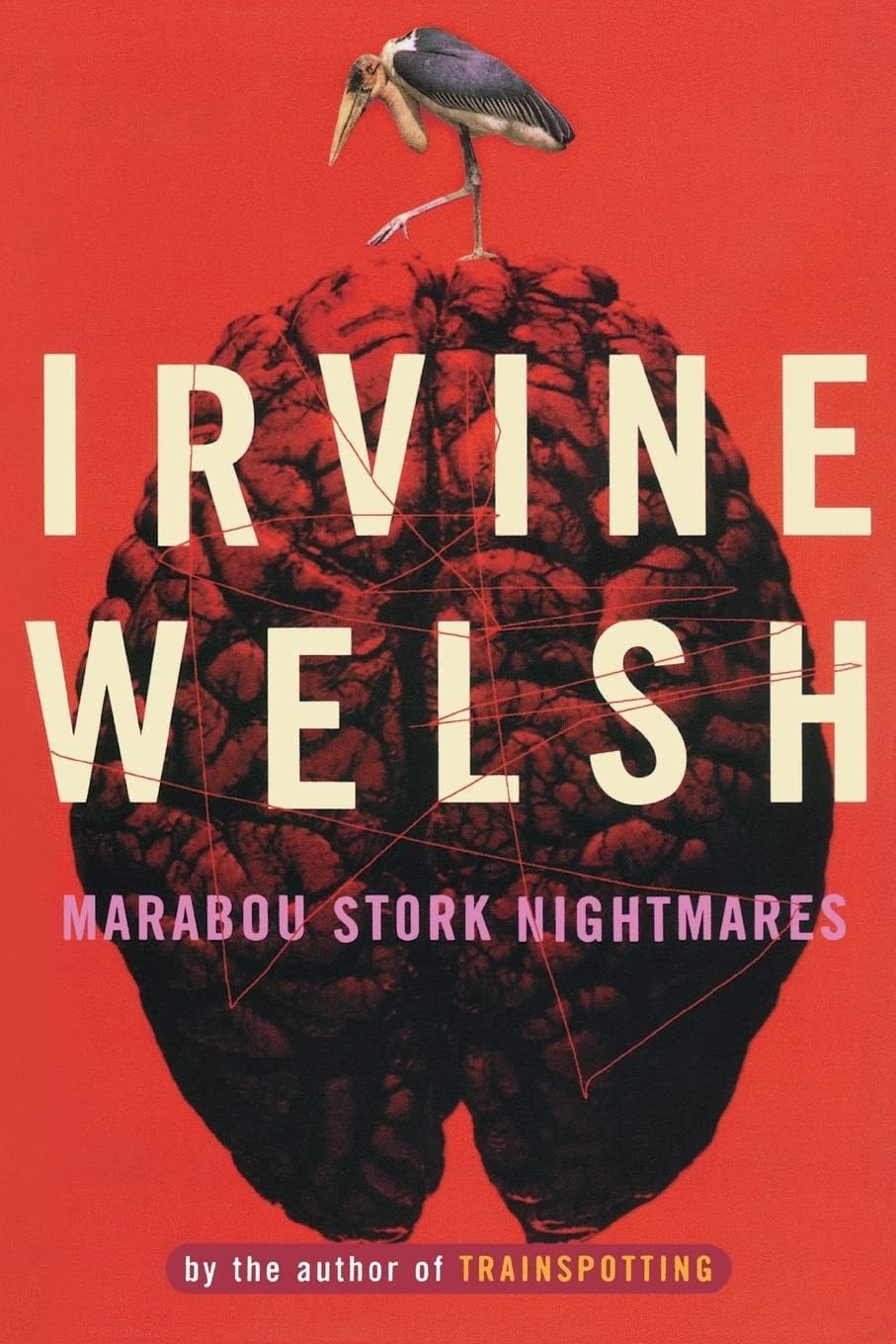 Marabou Stork Nightmares A Novel