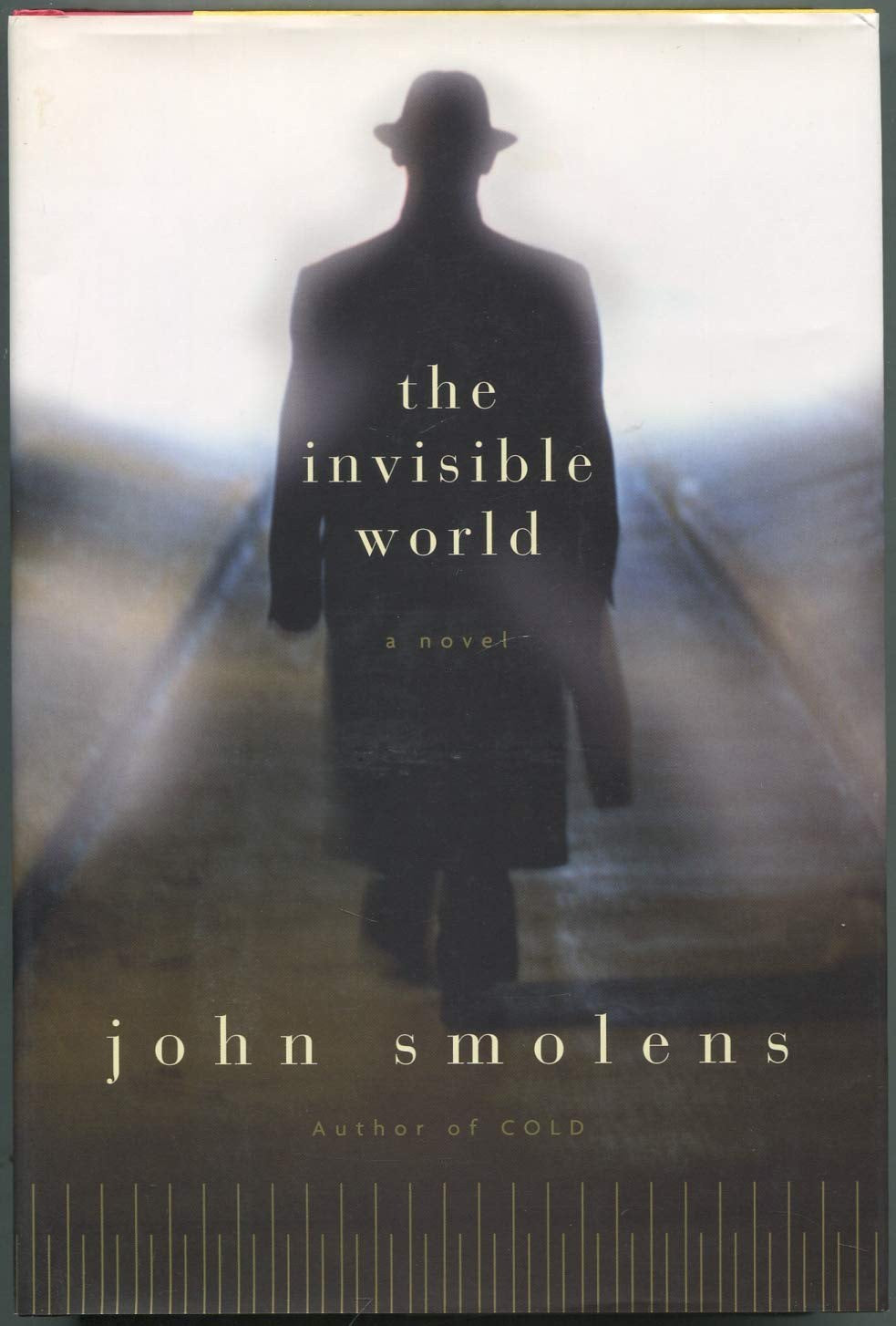 The Invisible World: a novel