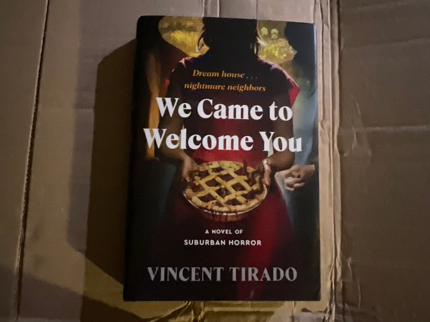 We Came to Welcome You by Vincent Tirado