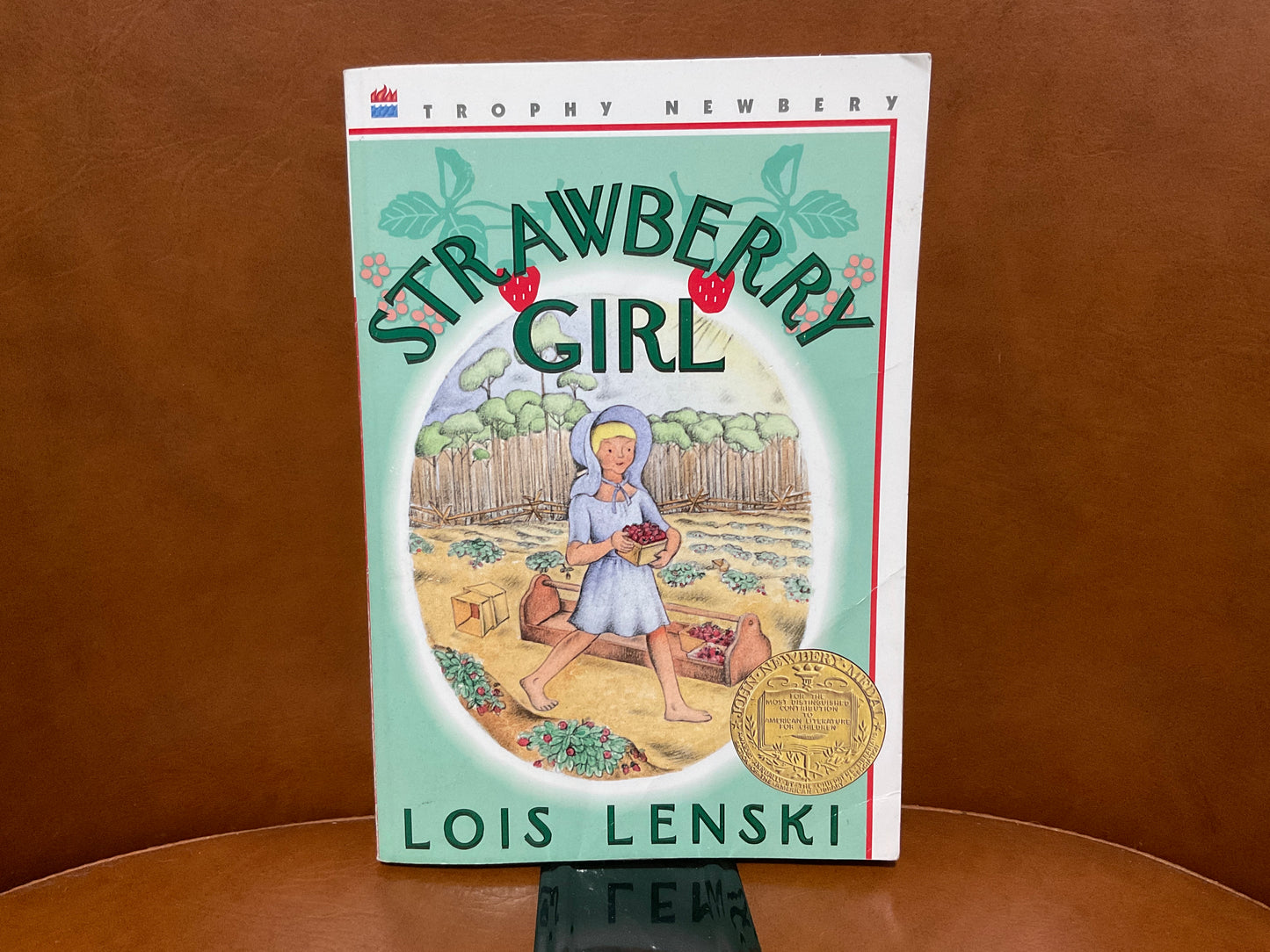 Strawberry Girl by Lois Lenski