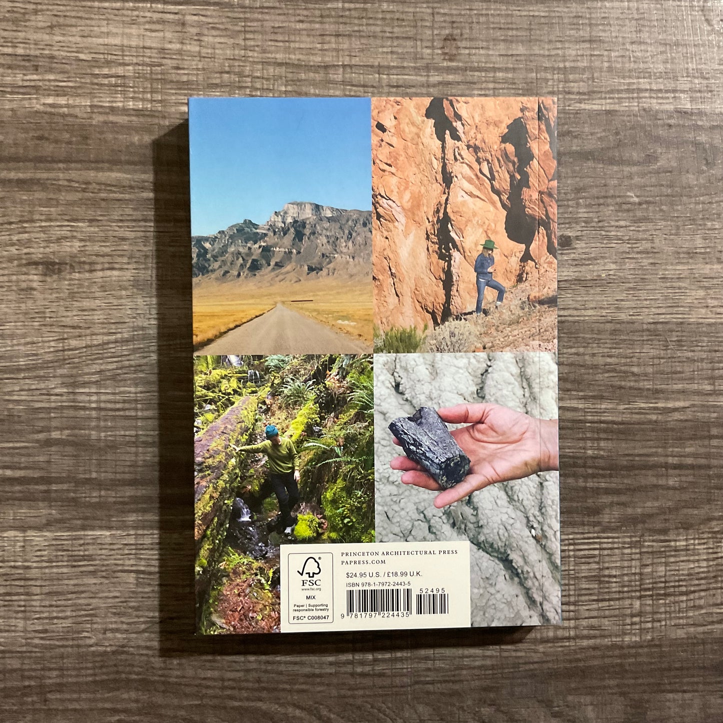 Beautiful Rocks & How to Find Them: A Modern Rockhound’s Guide by Alison Jean Cole