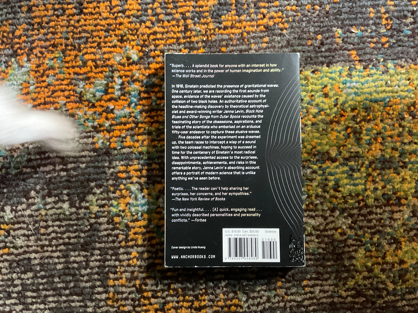 Black Hole Blues and Other Songs from Outer Space by Janna Levin