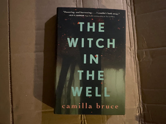 The Witch in the Well by Camilla Bruce