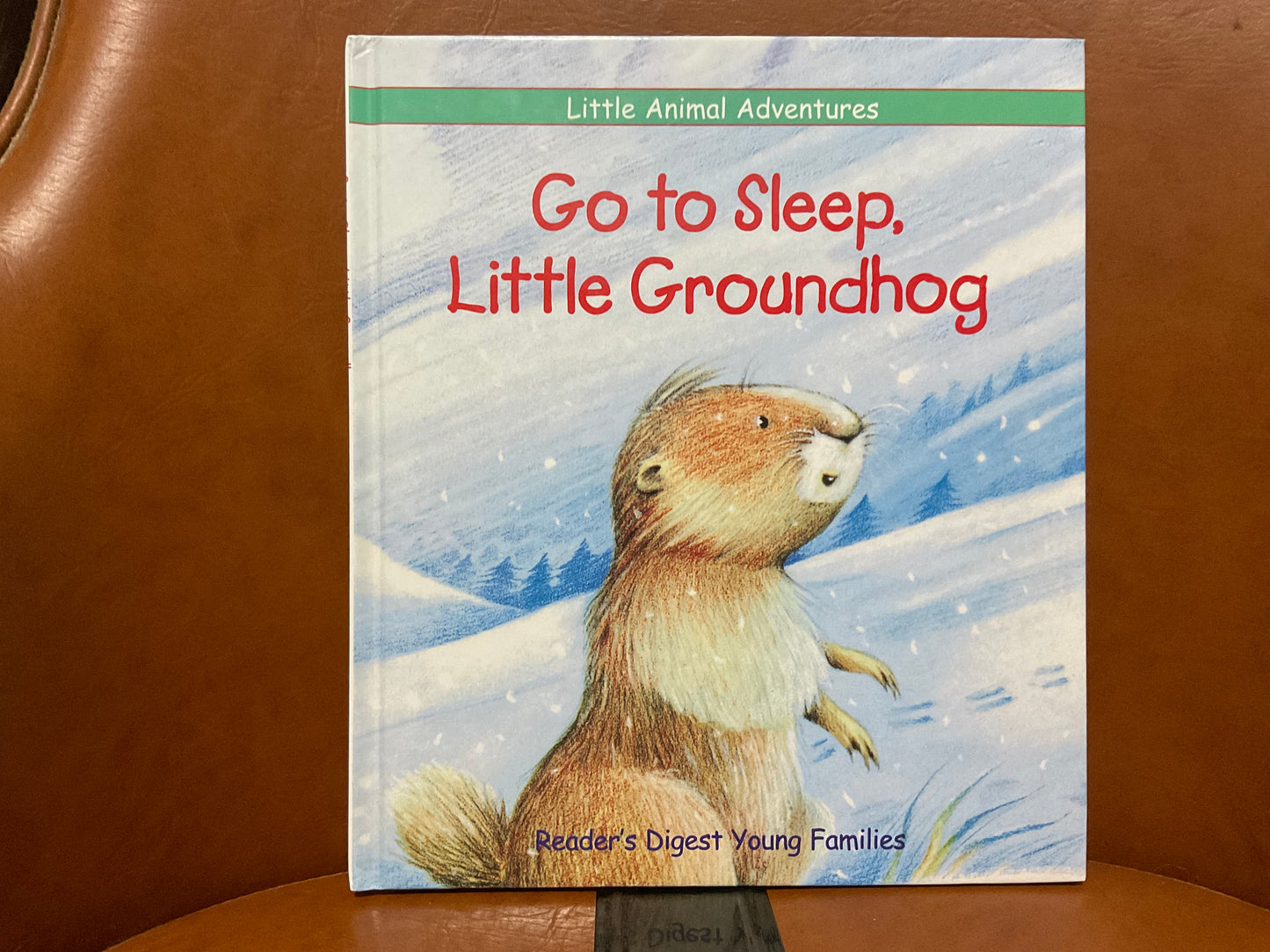 Go to Sleep, Little Groundhog by Reader’s Digest Young Families