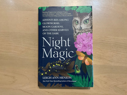 Night Magic by Leigh Ann Henion