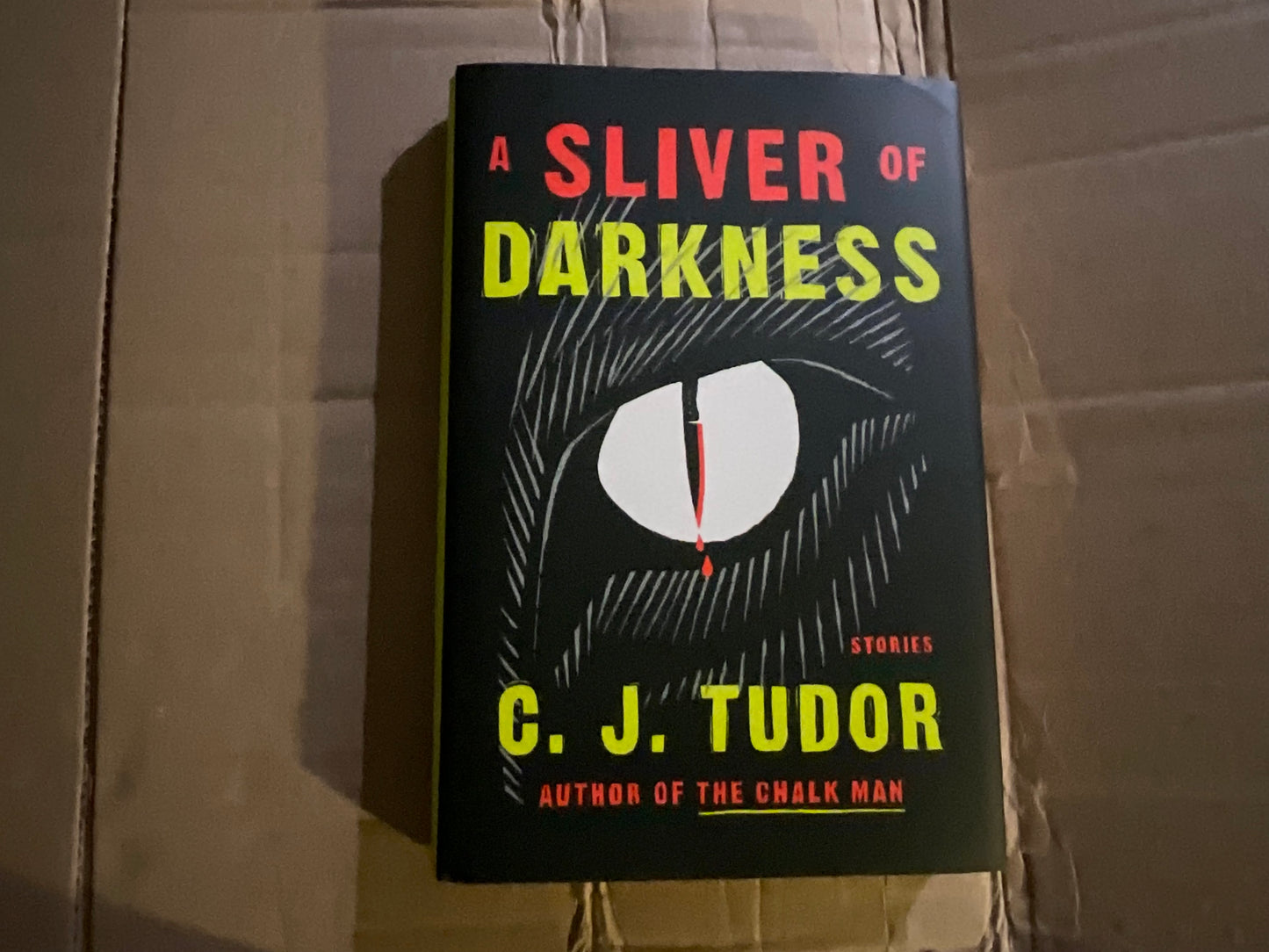 A Sliver of Darkness: Stories by C. J. Tudor