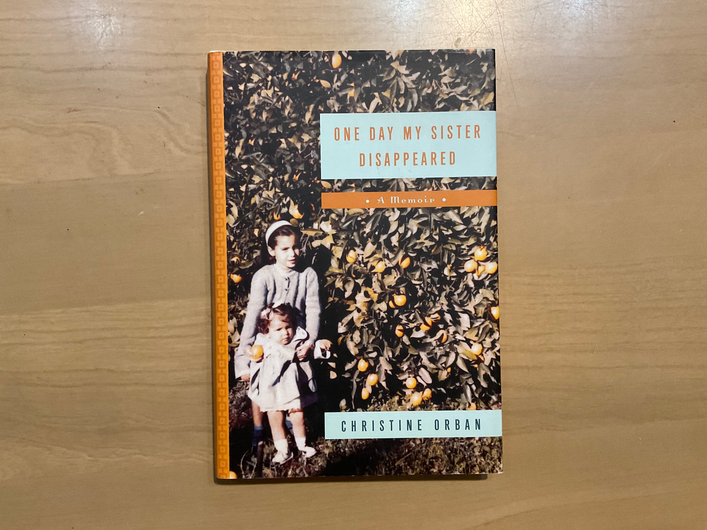 One Day My Sister Disappeared by Christine Orban
