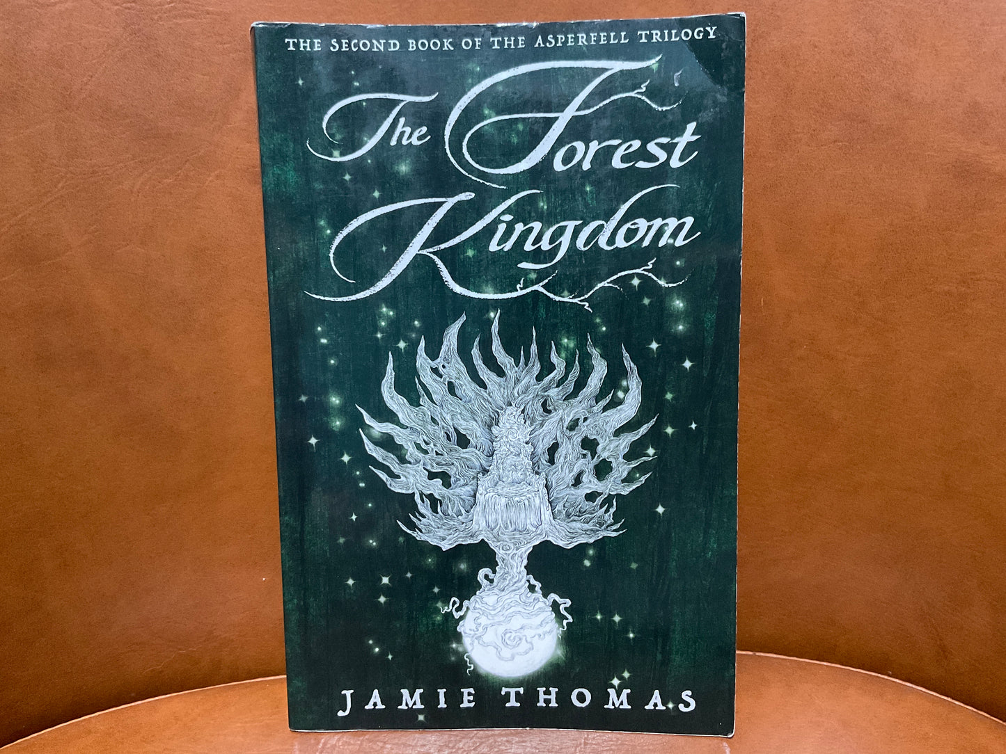 The Forest Kingdom by Jamie Thomas