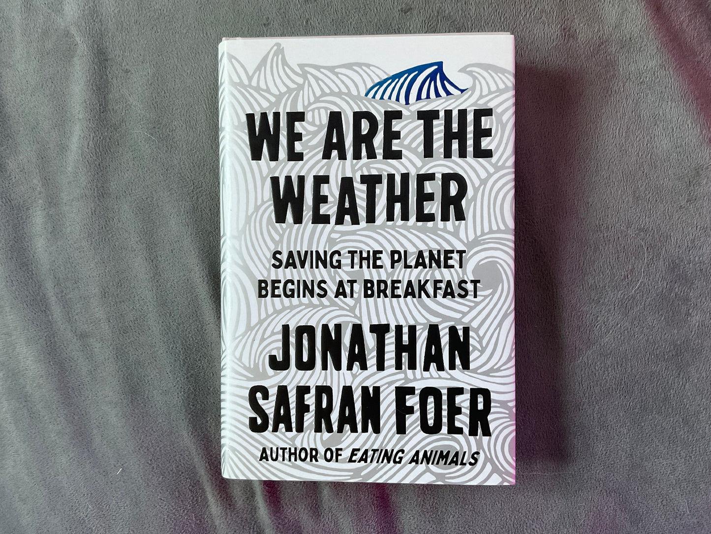 We Are the Weather by Jonathan Safran Foer