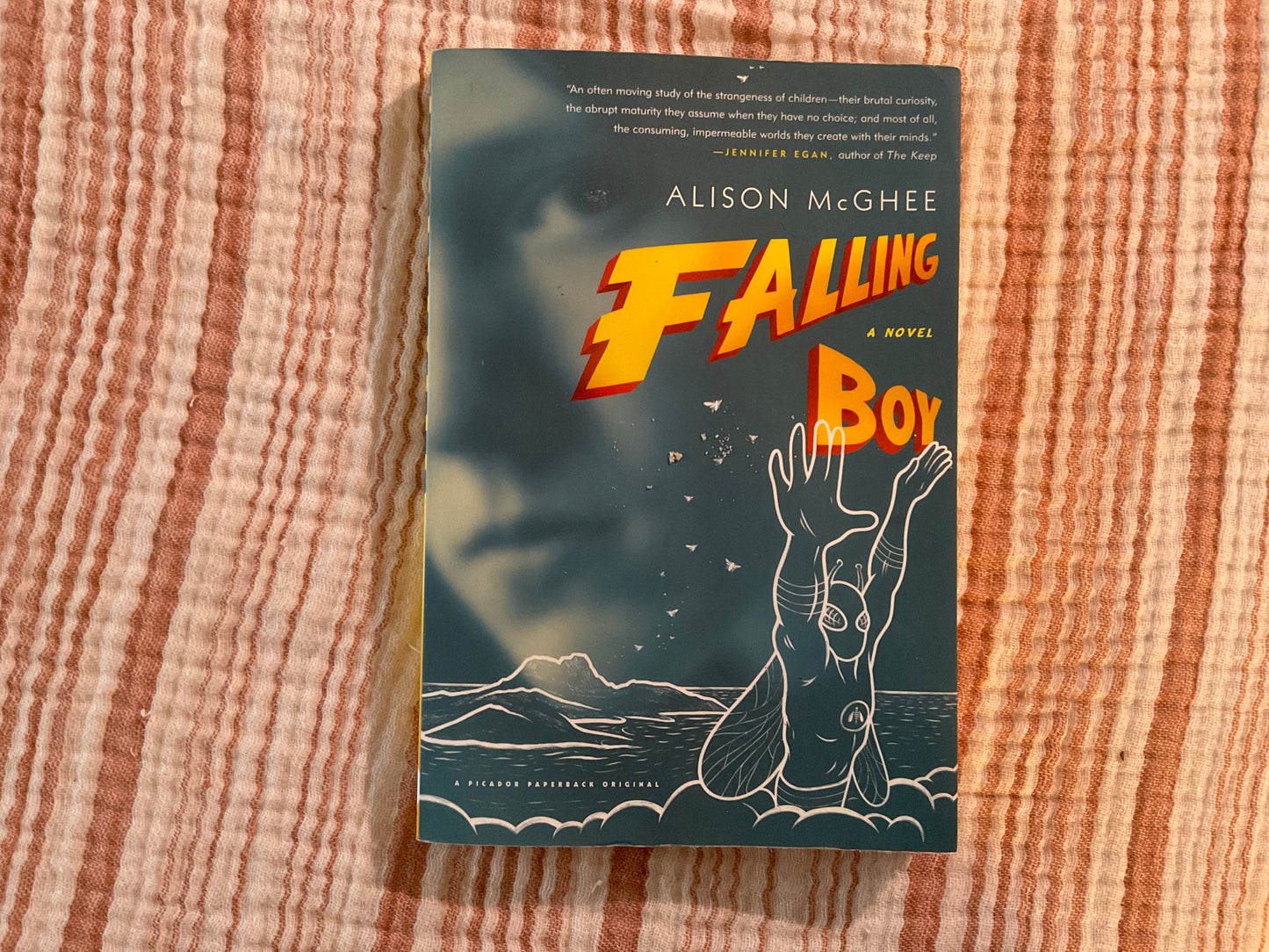 Falling Boy by Alison McGhee