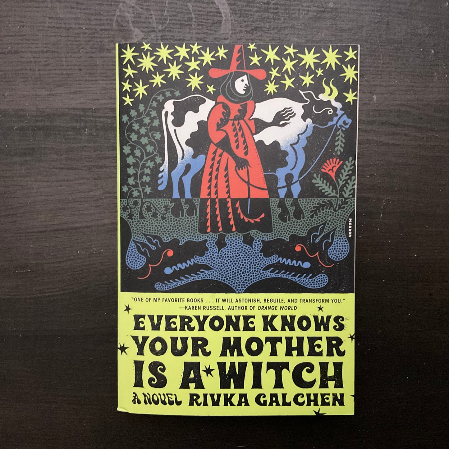 Everyone Knows Your Mother is a Witch by Rivka Galchen
