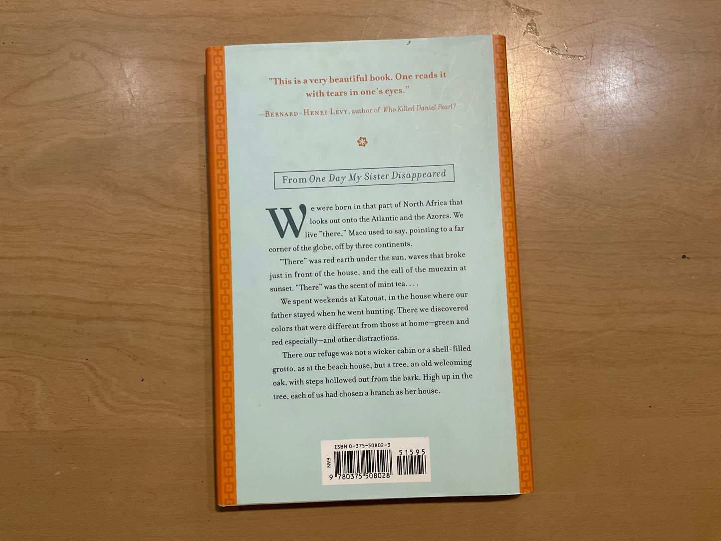 One Day My Sister Disappeared by Christine Orban