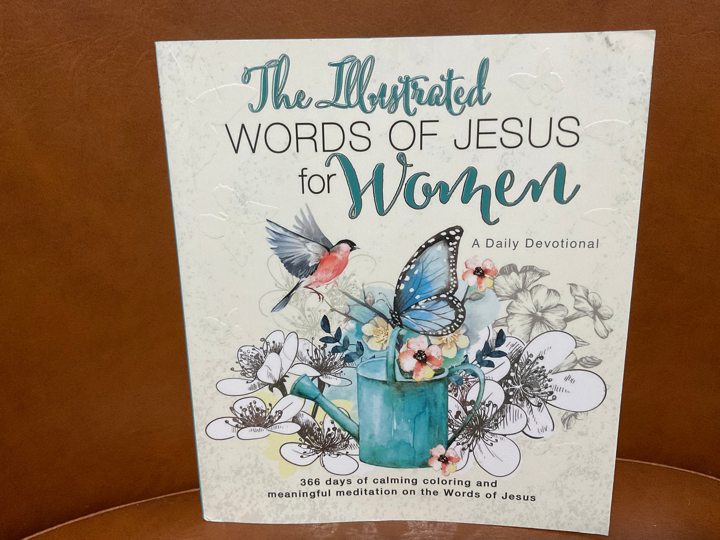 The Illustrated Words of Jesus for Women by Carolyn Larson