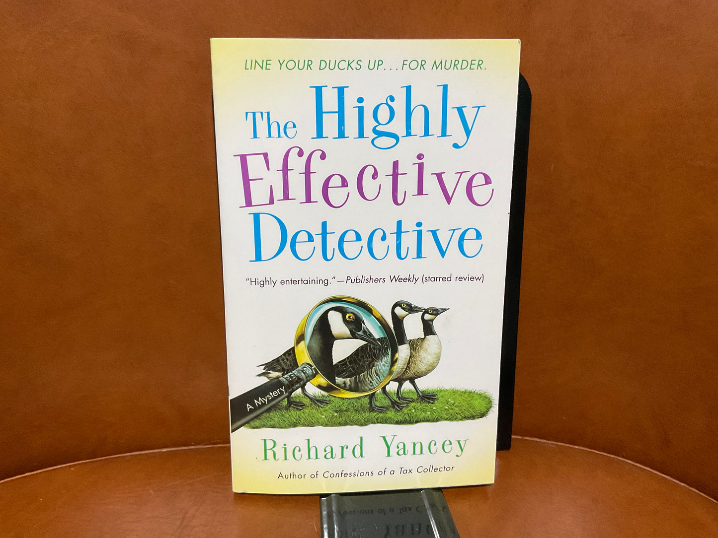 The Highly Effective Detective by Richard Yancey