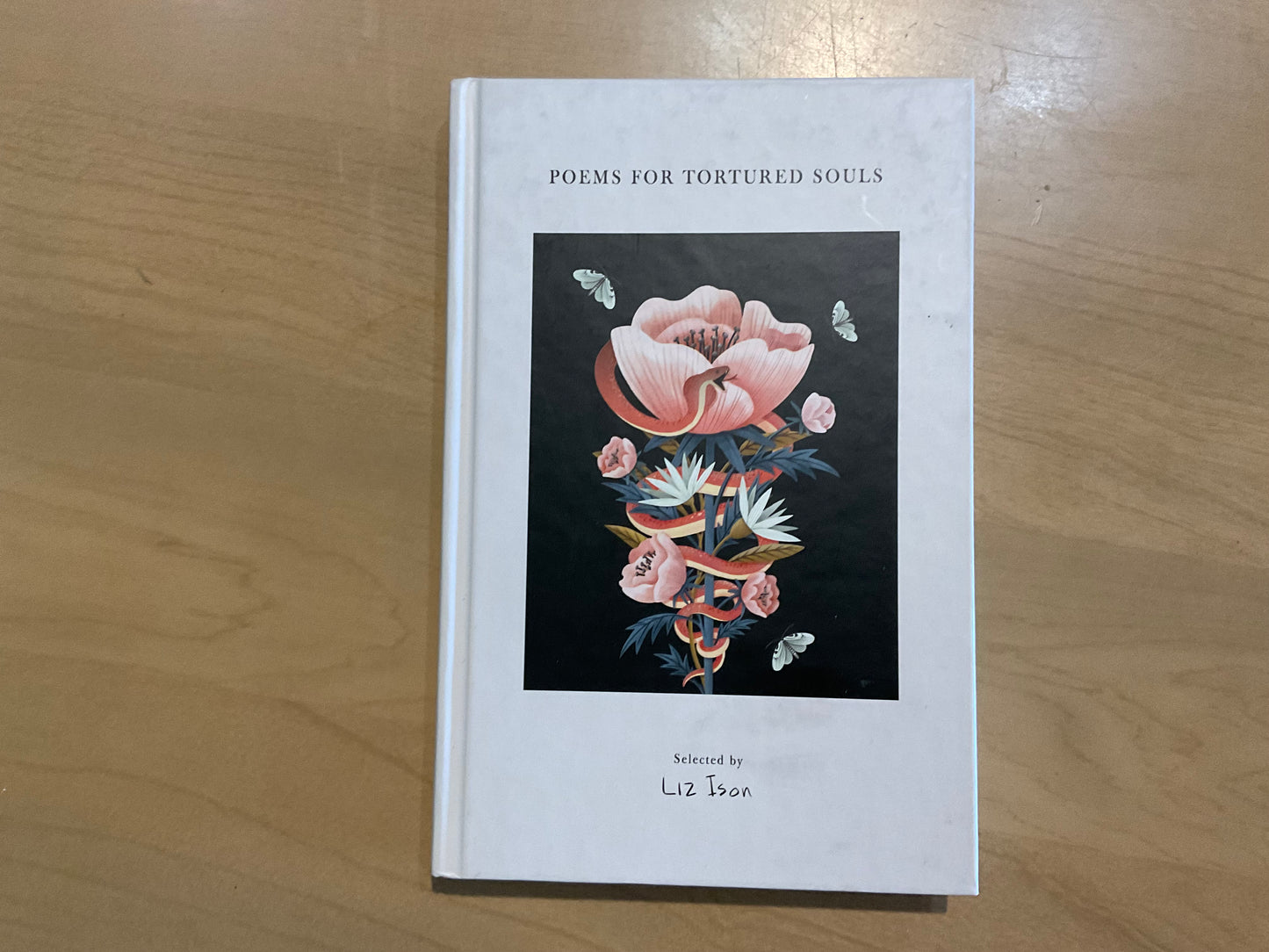 Poems for Tortured Souls by Liz Ison