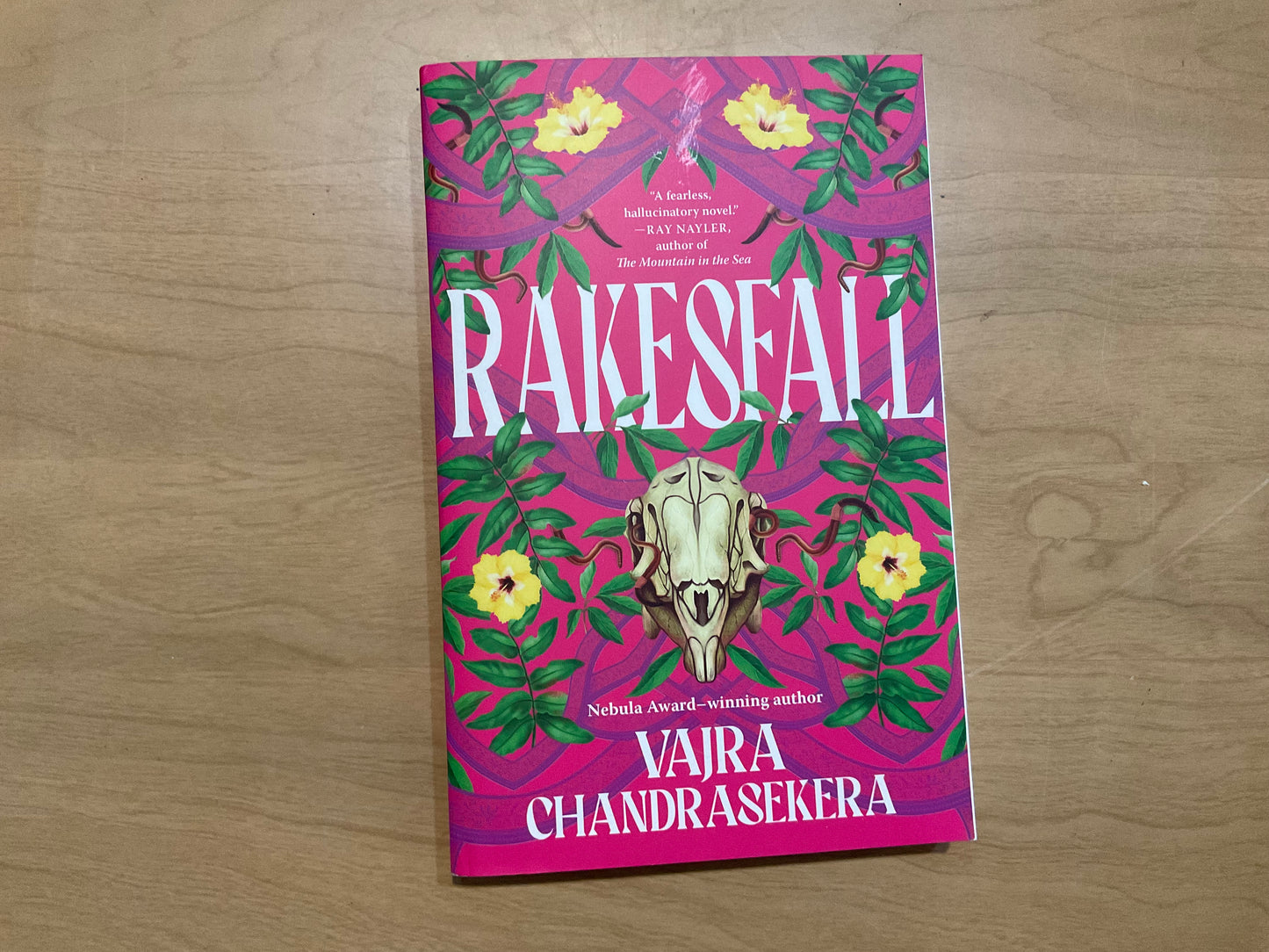 Rakesfall by Vajra Chandrasekera
