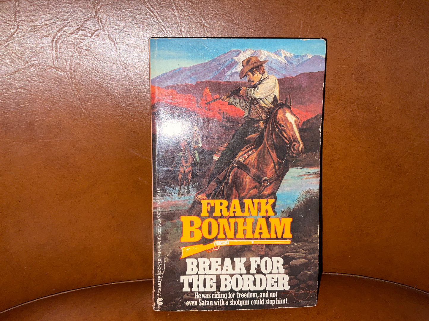 Break for the Border by Frank Bonham