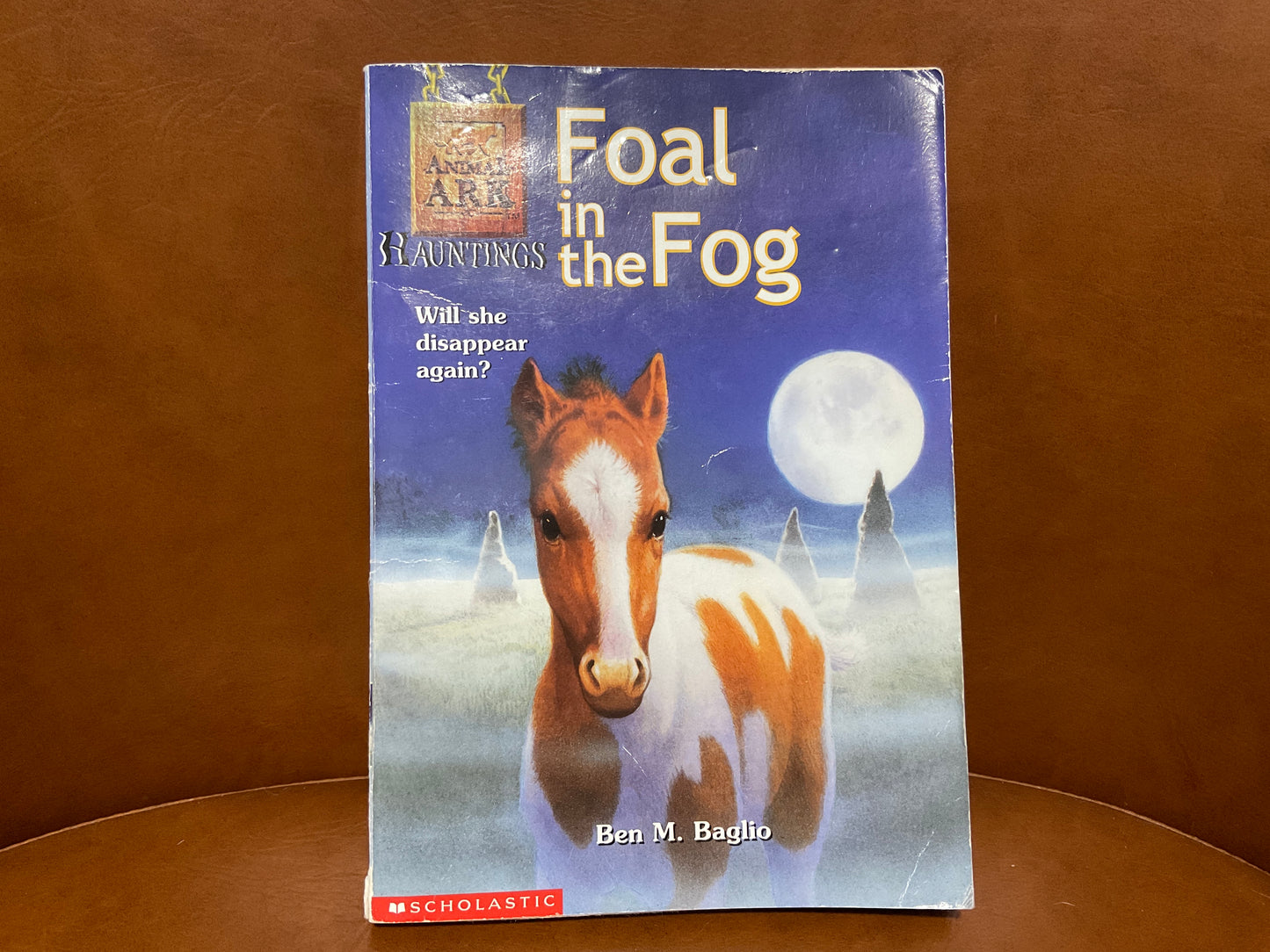 Foal in the Fog by Ben M. Baglio