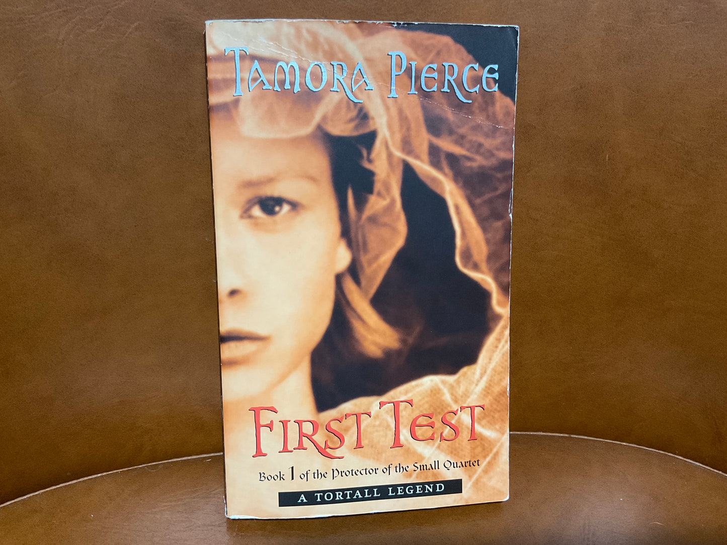 First Test by Tamora Pierce (Protector of the Small #1)