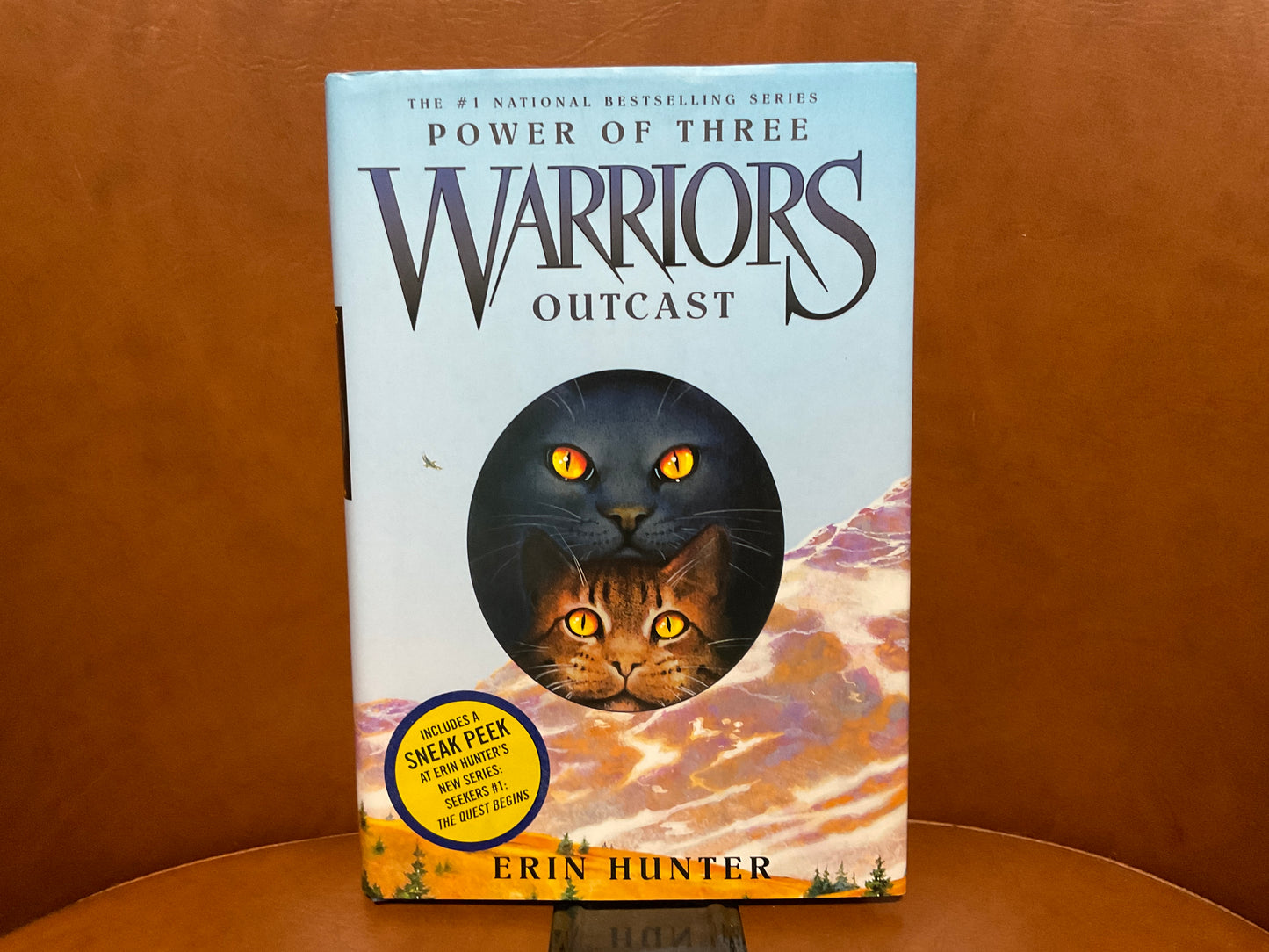 Outcast by Erin Hunter (Warriors Powers of Three #3)