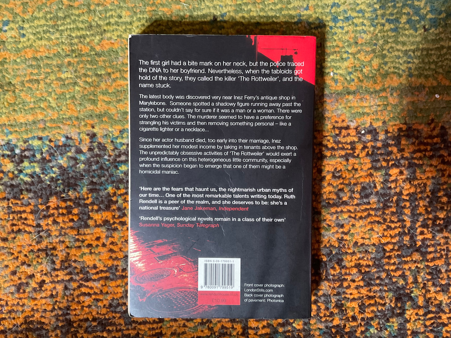 The Rottweiler by Ruth Rendell