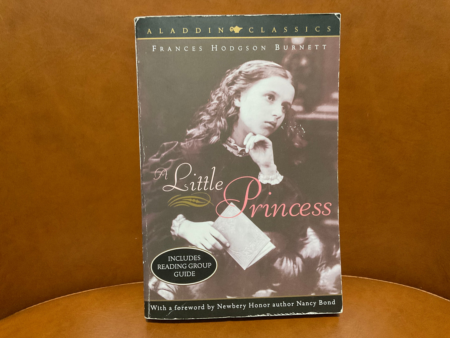 The Little Princess by Frances Hodgson Burnett