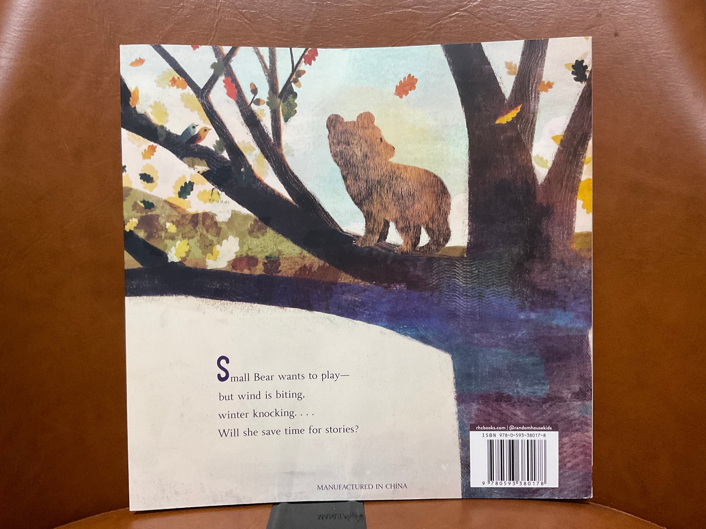 A Story for Small Bear by Alice B. McGinty and Richard Jones