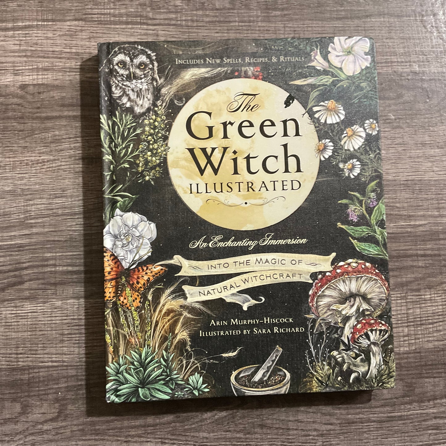 The Green Witch Illustrated by Aron Murphy-Hiscock