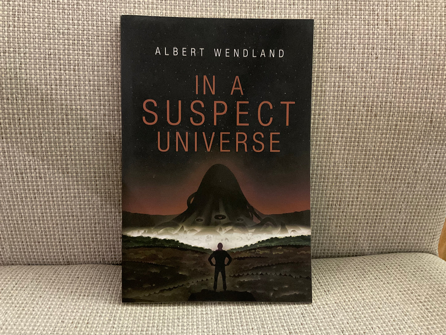 In a Suspect Universe by Albert Wendland