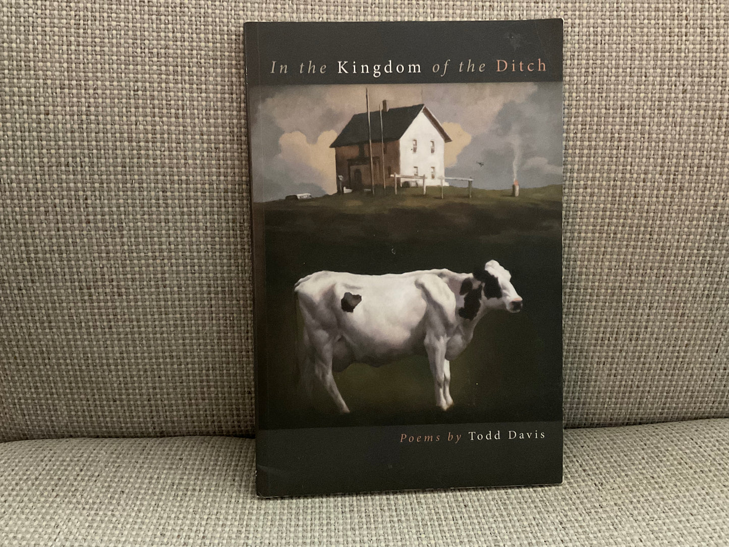 In the Kingdom of the Ditch by Todd Davis