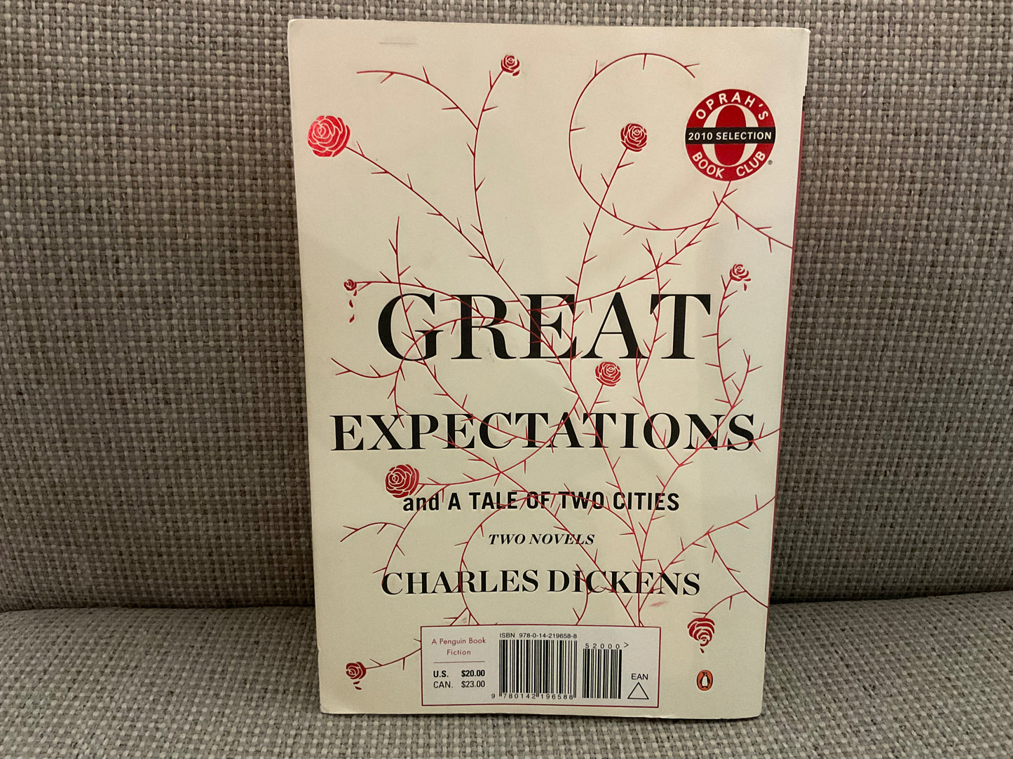 A Tale of Two Cities and Great Expectations by Charles Dickens