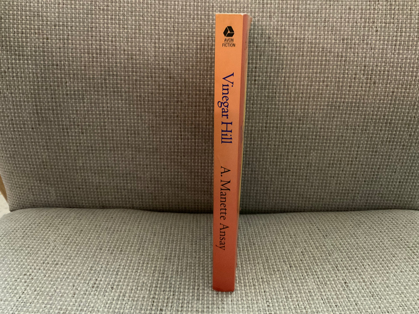 Vinegar Hill by A. Manette Ansay