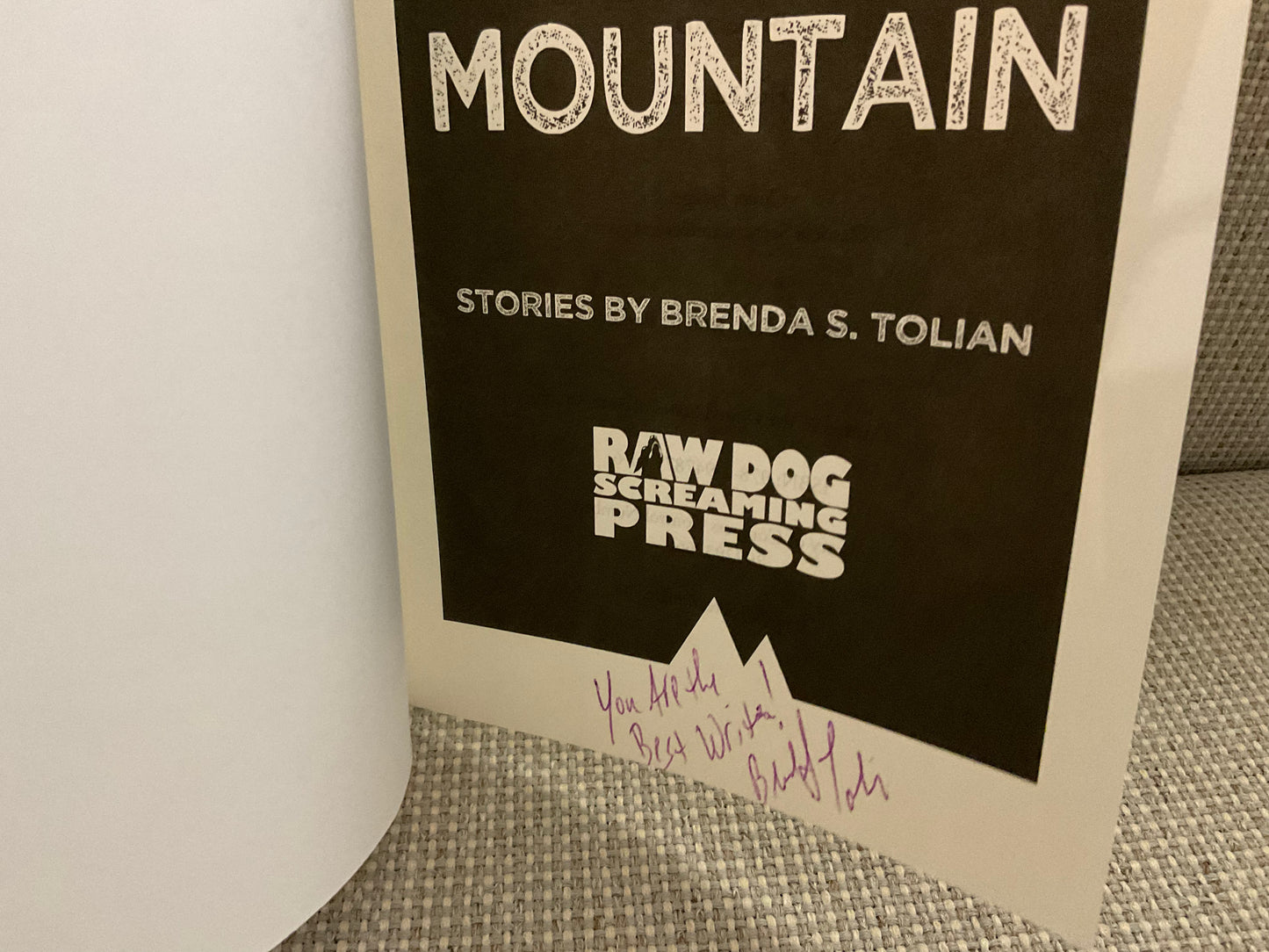 Blood Mountain by Brenda S. Tolian