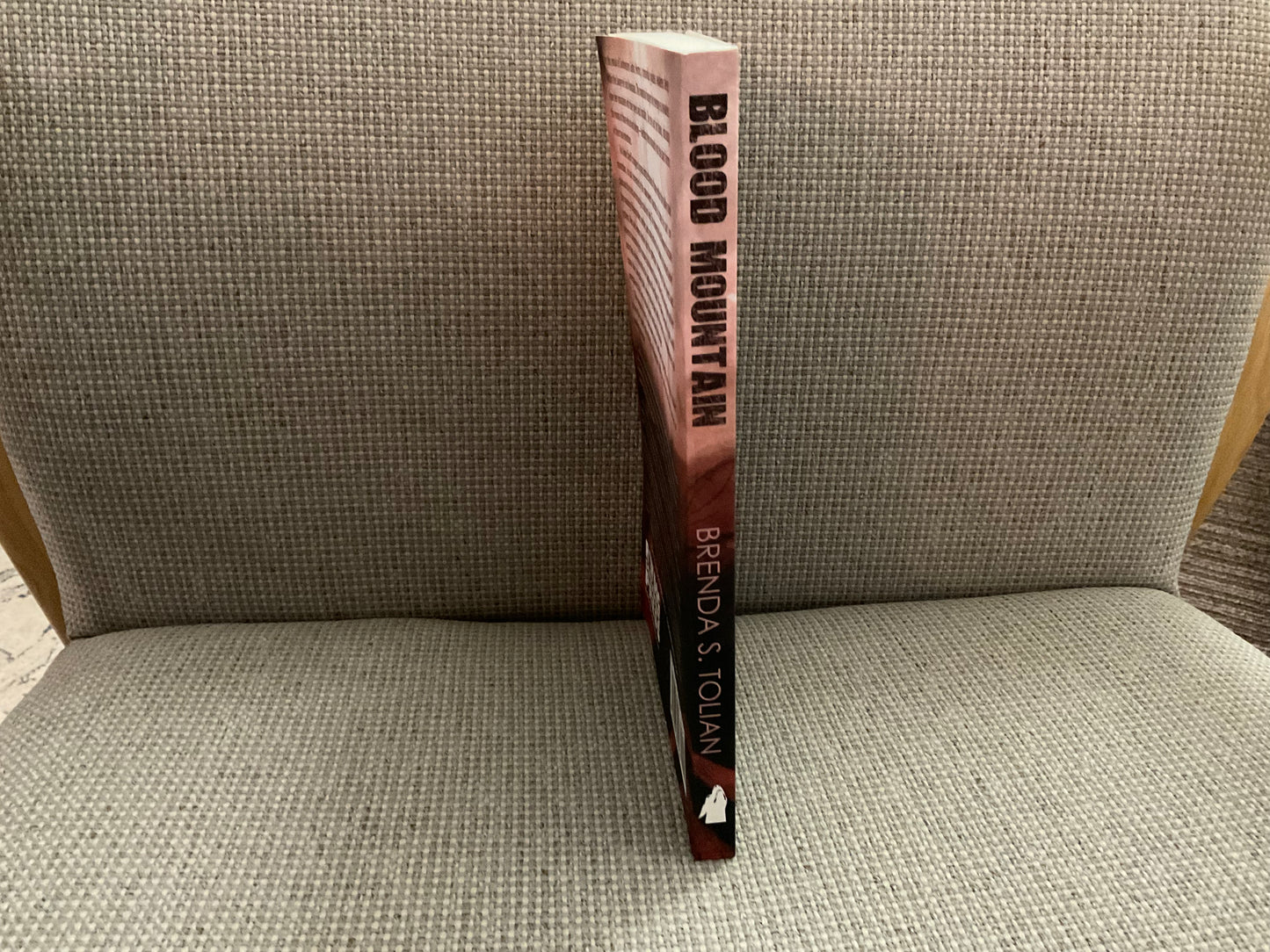 Blood Mountain by Brenda S. Tolian
