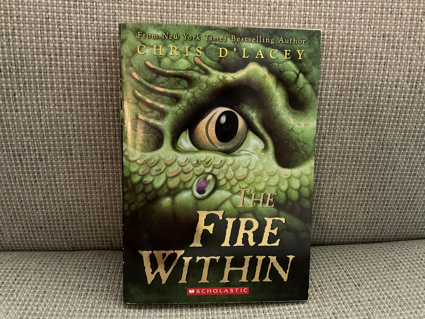 Fire Within by Chris D’Lacey (Last Dragon Chronicles #1)