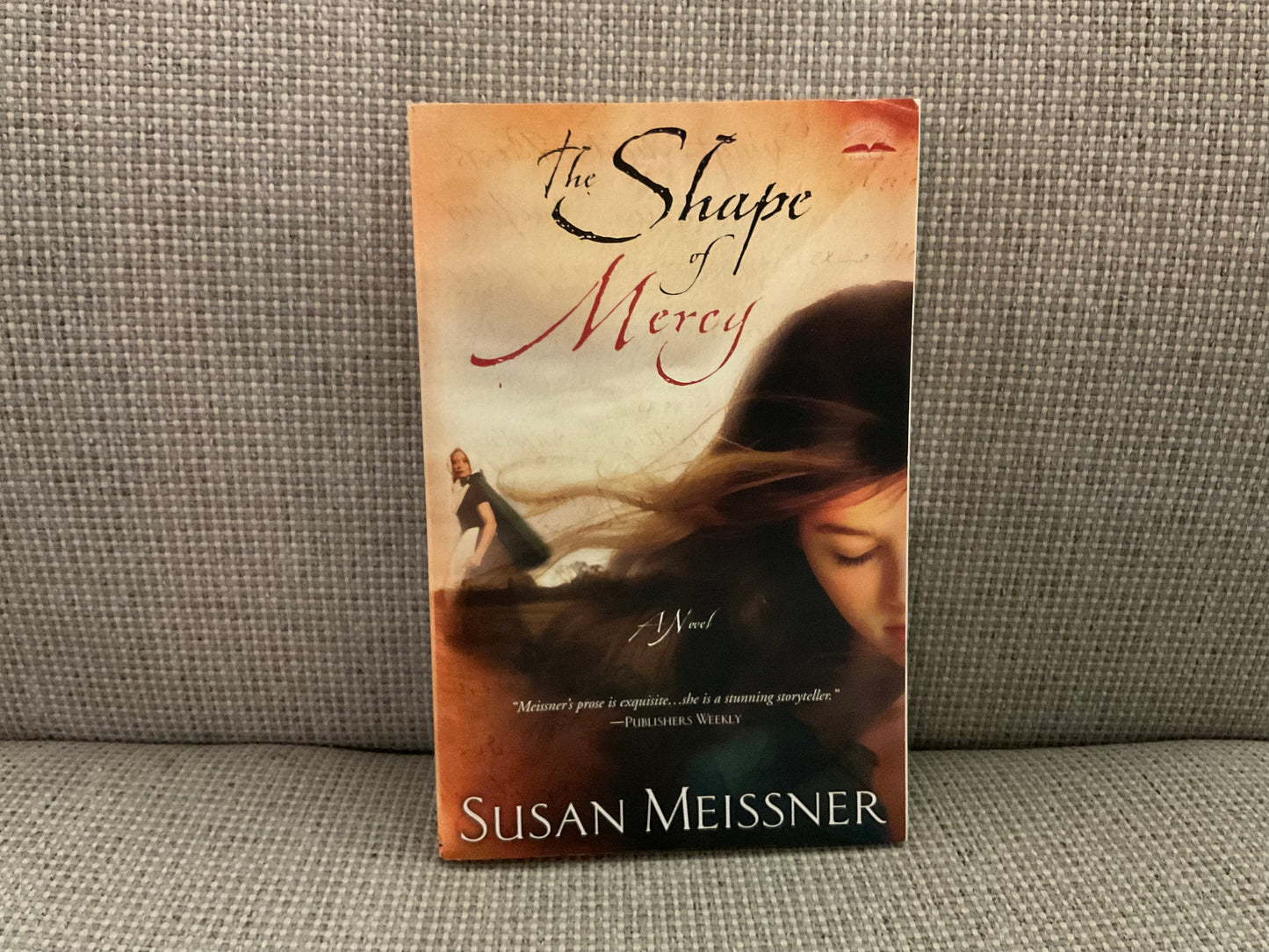 The Shape of Mercy by Susan Meissner