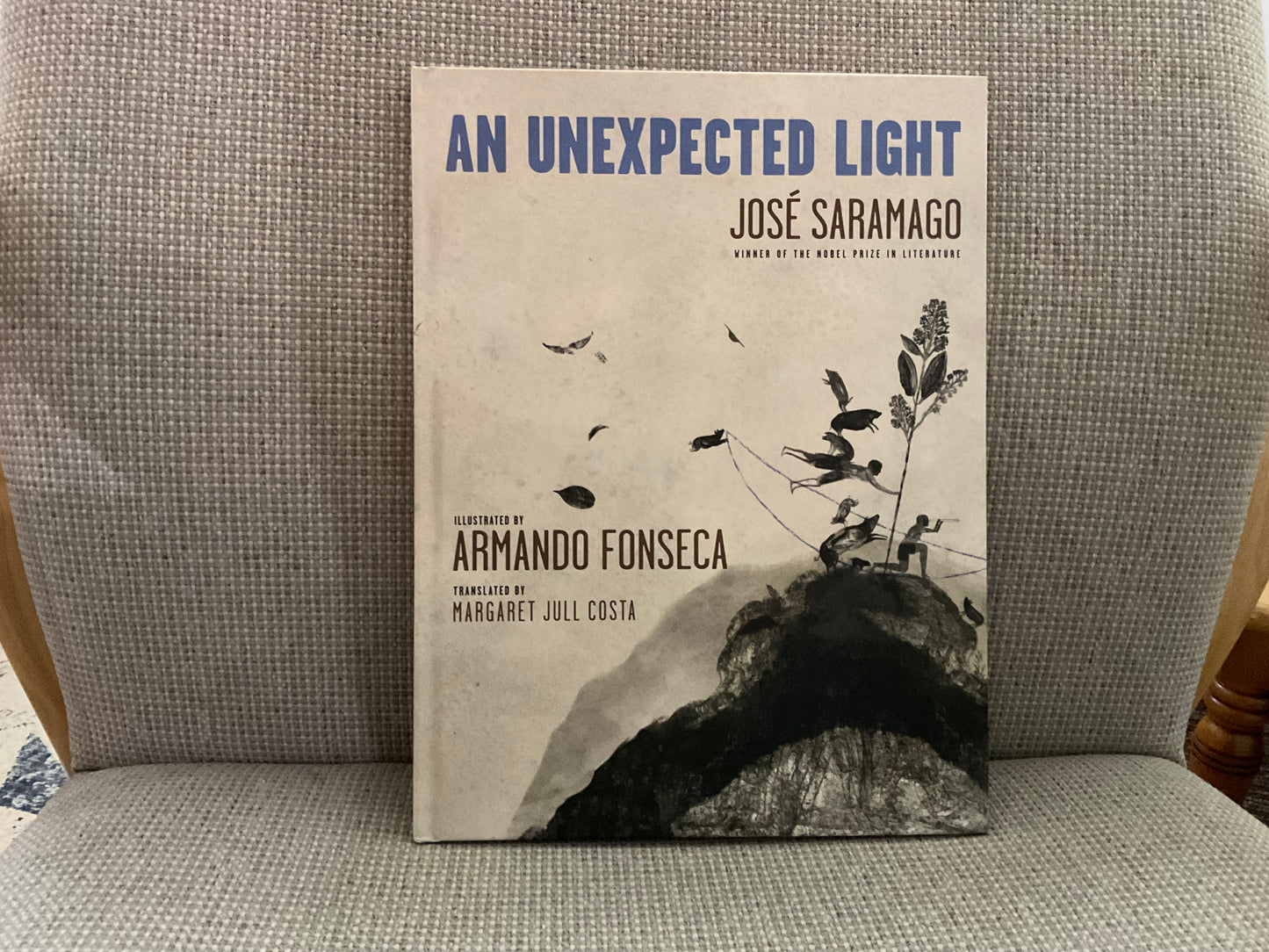 An Unexpected Light by Armando Fonseca