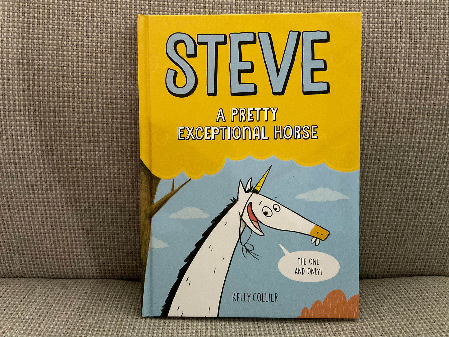 Steve: A Pretty Exceptional Horse by Kelly Collier