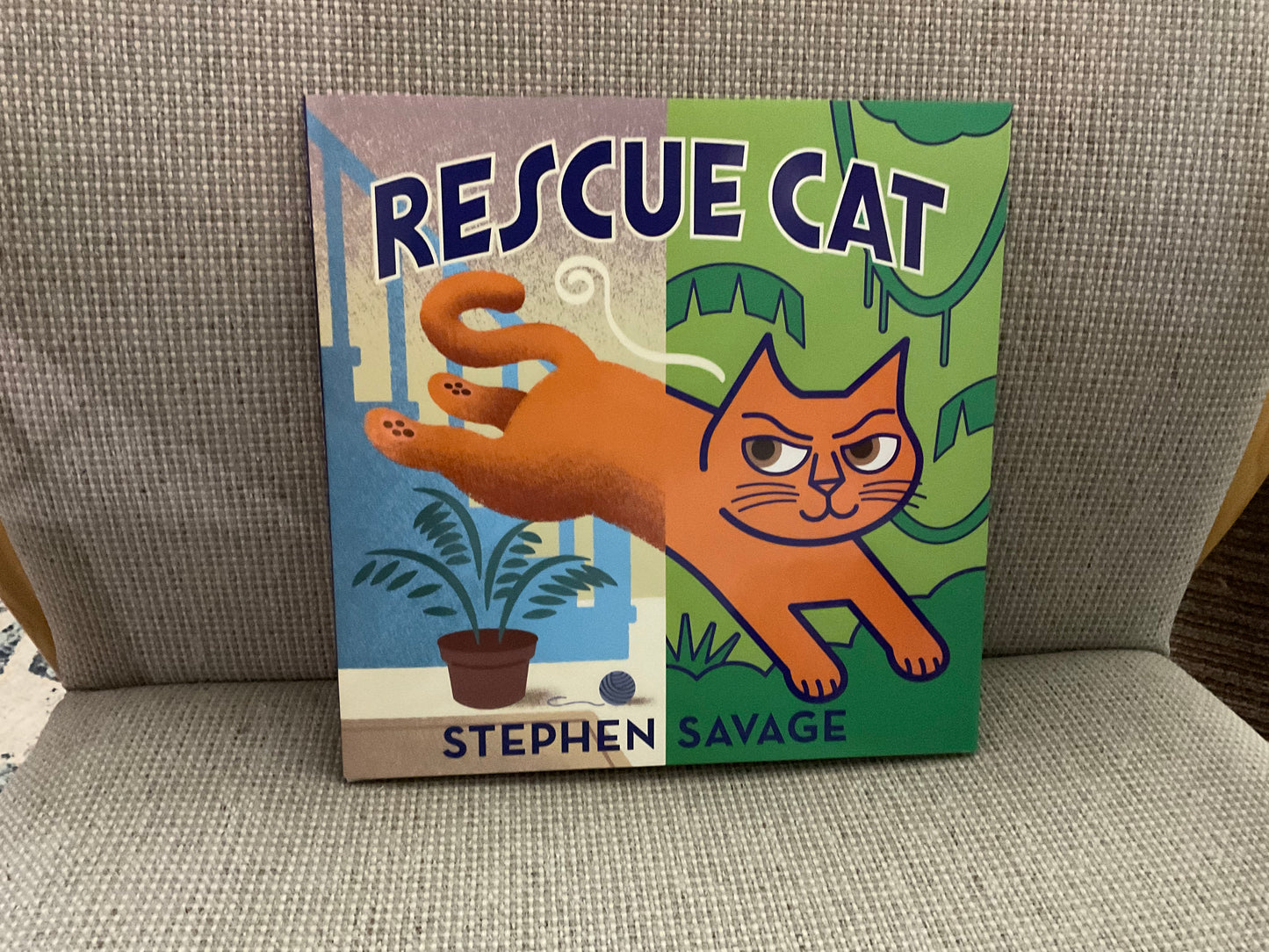 Rescue Cat by Stephen Savage