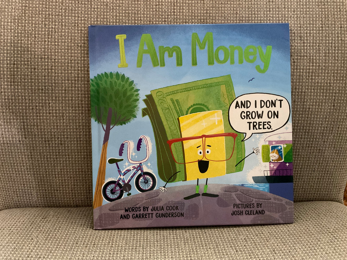 I Am Money by Julia Cook and Garrett Gunderson